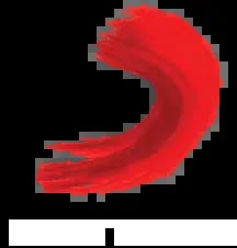 Sony MusicLogo image